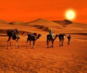 FELICES NAVIDADES DIGITALES 2016